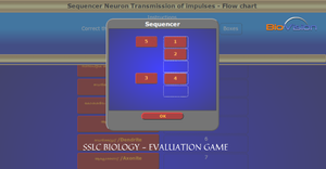 SSLC Biology - Chapter 1 - Nerve Cell MM & EM - Activity Game - Set 6