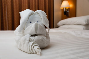 What is a cabin steward on a cruise? Learn about the people who keep your room clean