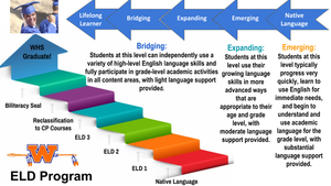 The Role Of Various Groups In Implementing Field Goals In Public Schools