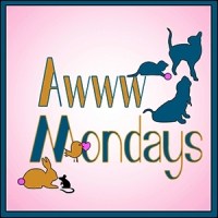 Rub-a-Dub-Dub, These Kits Need Some Grub (Awww Monday), Inspiring Quote of the Week, and Poetry Monday