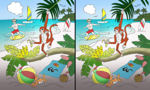 Can You Spot 10 Differences in This Balmy Tropical Beach Scene? (Yes, We Want to Go, Too)