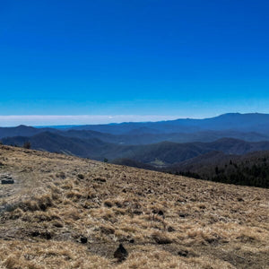 Roan Mountain & Roaring Fork Falls