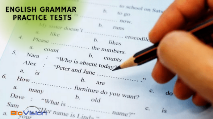 English Grammar - Practice Test Set 13 - Literary Terms