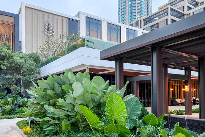 A luxury resort in the middle of a city: Four Seasons Hotel Bangkok