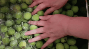 Wash your produce!