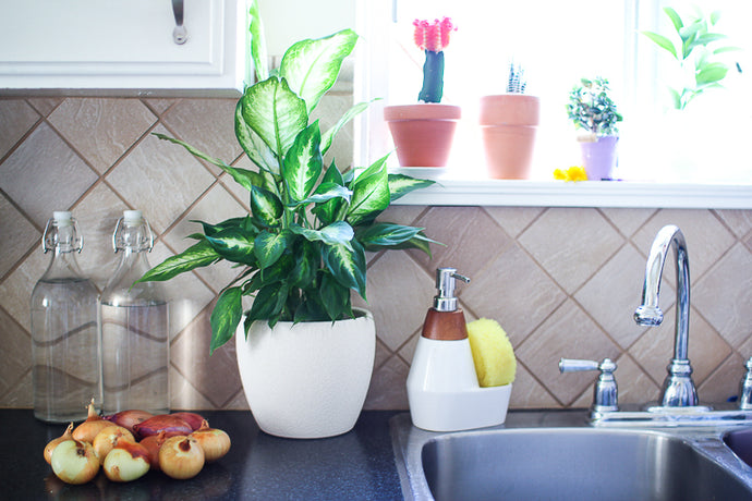 12 Things I No Longer Buy and Plastic Free July