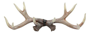 Ebros Rustic Hunter's 10 Point Stag Deer Antlers Rack Wall Plaque 17"Wide Coat Hooks Multi-Purpose Hats Keys Scarves Belts Towels Pet Leashes Hangers Antler Wall Hook (Rustic Aged White)
