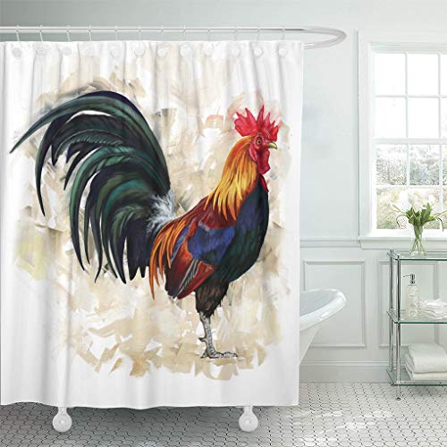 Emvency Shower Curtain Colorful Orange Chicken Rooster Digital Painting Cock Blue Vintage Shower Curtains Sets with Hooks 60 x 72 Inches Waterproof Polyester Fabric