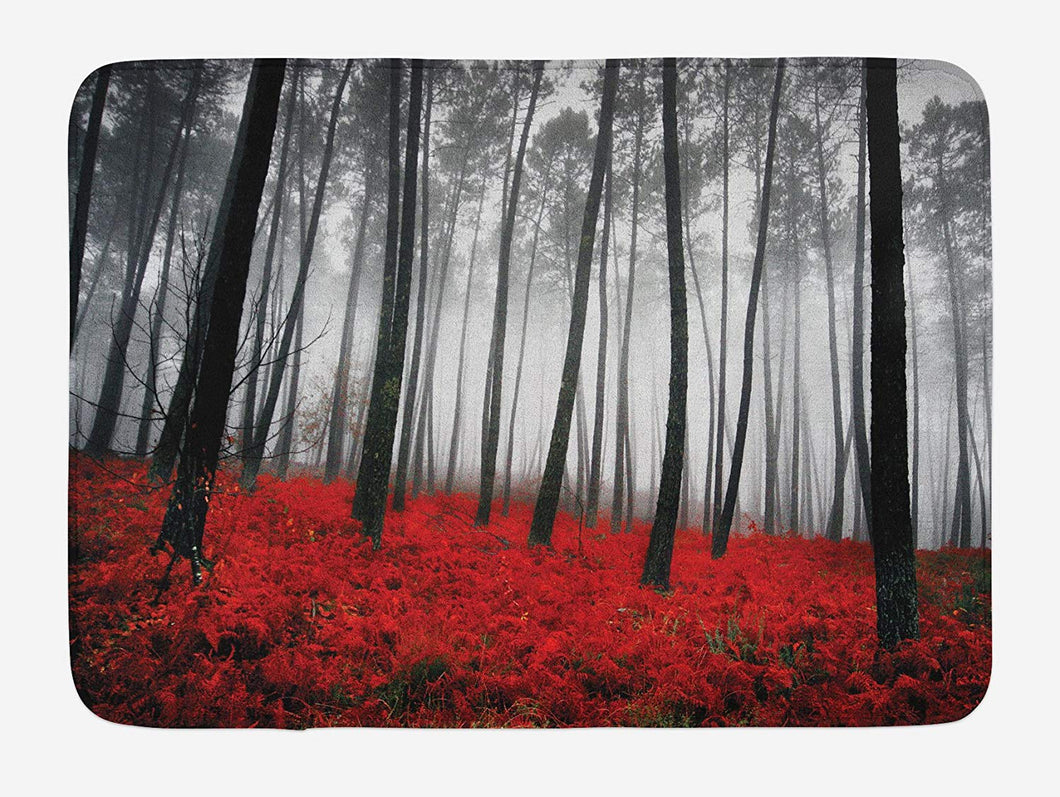 Ambesonne Forest Bath Mat, Mystical Fantasy Woodland Under Heavy Fog Tall Trees Bushes Contrast Colors, Plush Bathroom Decor Mat with Non Slip Backing, 29.5