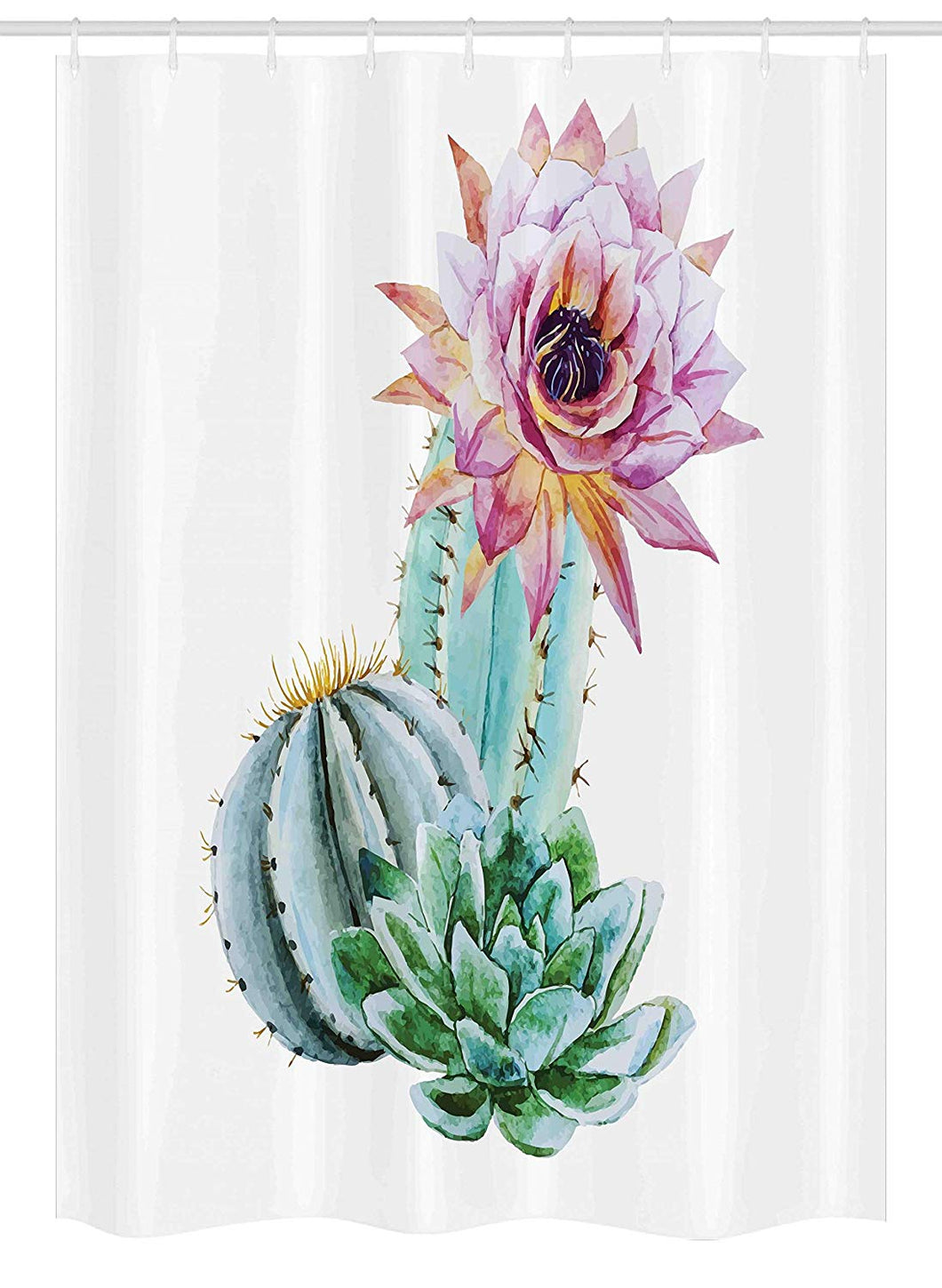 Ambesonne Cactus Decor Stall Shower Curtain, Cactus Spikes Flower in Hot Mexican Desert Sand Botanic Natural Image, Fabric Bathroom Decor Set with Hooks, 54 W x 78 L Inches, Pink Green and Blue