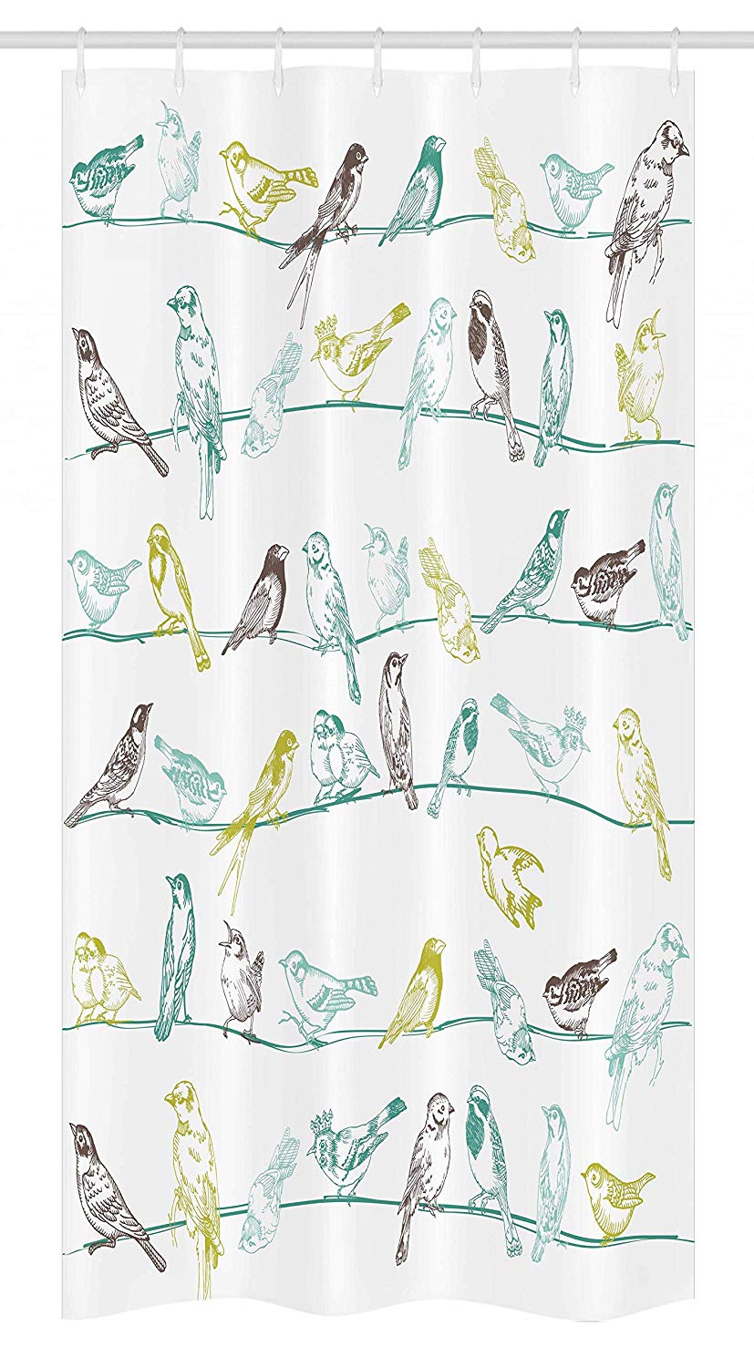 Ambesonne Birds Stall Shower Curtain, Various Type of Birds Sitting and Chirping on Wires Musical Creatures Print, Fabric Bathroom Decor Set with Hooks, 36