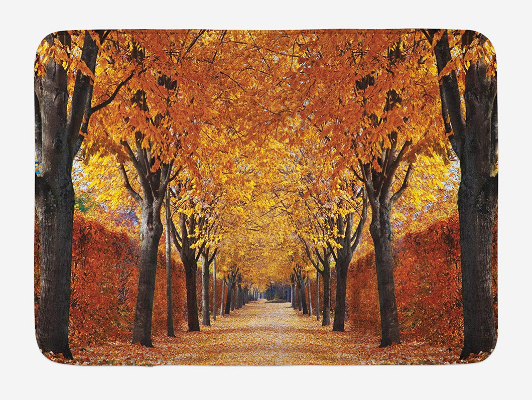 Ambesonne Autumn Bath Mat, Pathway in The Woods Covered with Dried Deciduous Tree Leaves Romantic Fall Season, Plush Bathroom Decor Mat with Non Slip Backing, 29.5